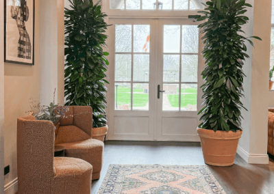 Interieurbeplanting-planten-ontvangst-hal
