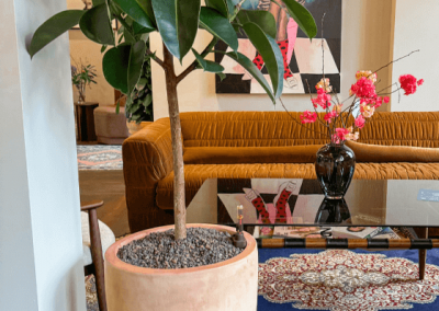 Interieurbeplanting-plantenbakken-trend