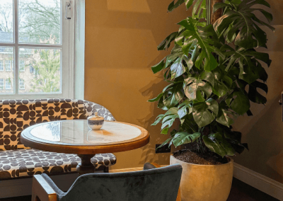 Interieurbeplanting-stijlvol