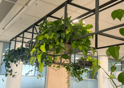 Hangbeplanting-kantoor