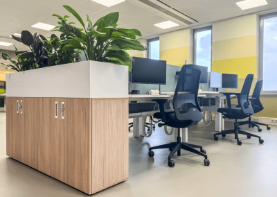 Planten-op-kantoor-werkafscheiding