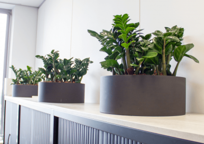 Planten-op-kast-werkplek