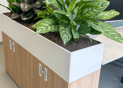 Werkafscheiding-planten