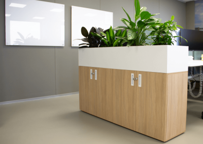 Werkplekafscheiding-kast-planten
