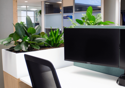 gezonde-werkplek-planten