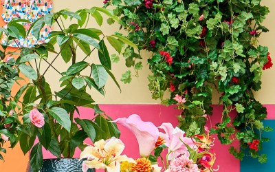 Interieurtrend: Laat je interieur leven met kleur!