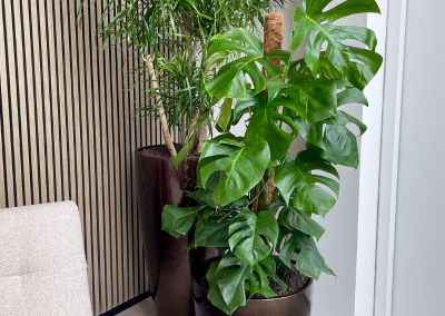 Interieurbeplanting-vandervleuten-ontwerp-kantoorinrichting-potten