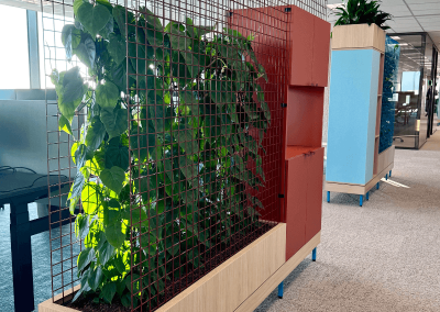 Planten-roomdiver-werkplekafscheiding