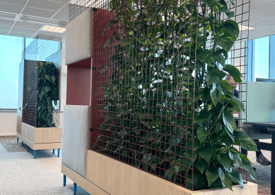 Roomdiver-planten-op-kantoor-interieurbeplanting
