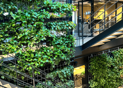 Grote-plantenwand-groen-bedrijf