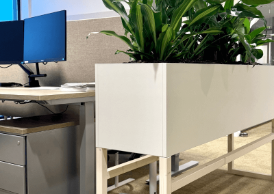 Interieurbeplanting-maatwerk-plantenbak