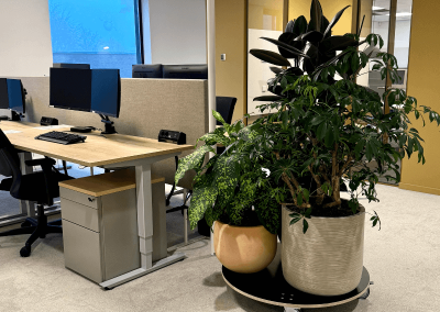 Interieurbeplanting-uniek-potten