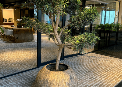 Plant-ingang-interieurbeplanting