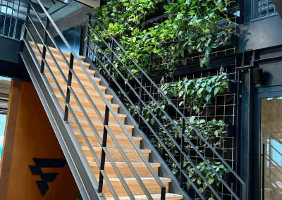 Plantenwand-groene-wand