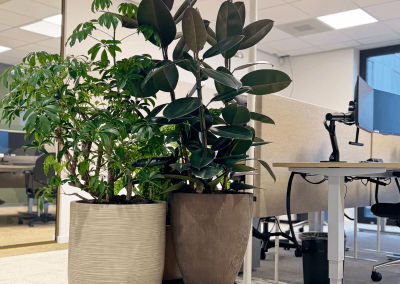 interieurbeplanting-uniek-architect-groen-planten