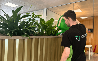 Waarom goed onderhoud van kantoorplanten zo belangrijk is