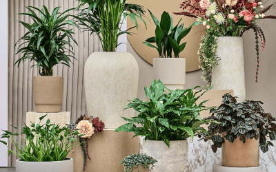 Slow Life is de stijltrend voor interieurbeplanting!