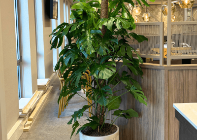 maatwerk-interieur-beplanting-plantenbak