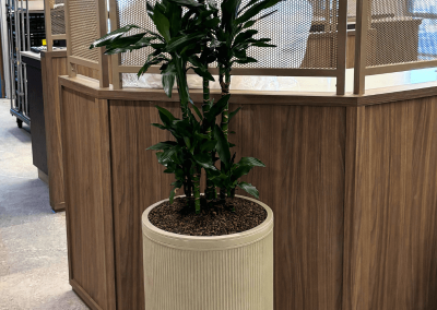 maatwerk-interieur-planten-bak