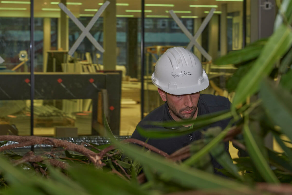 Interieurbeplanting-EdgeTechnologies Interieurbeplanting-EdgeTechnologies