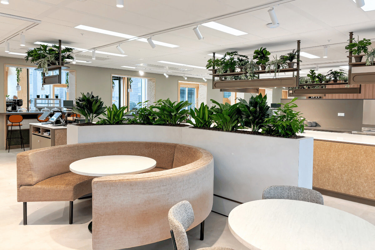 Interieurbeplanting-amsterdam-planten-ontwerp-hangbeplanting Interieurbeplanting-amsterdam-planten-ontwerp-hangbeplanting