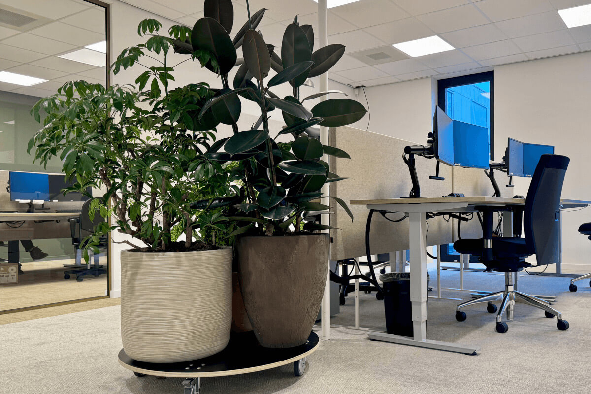 Interieurbeplanting-architect-planten-kantoor Interieurbeplanting-architect-planten-kantoor