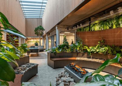 Urban-Jungle-planten