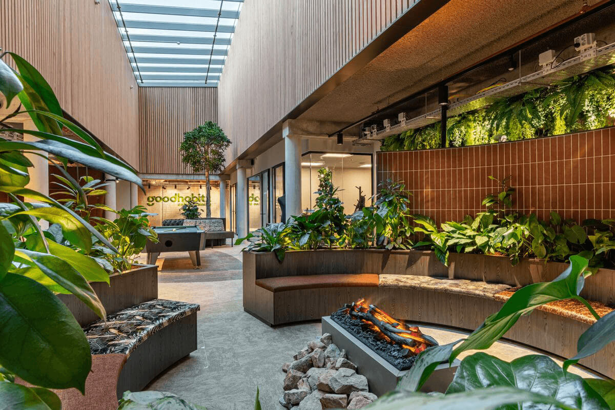 Urban-Jungle-planten