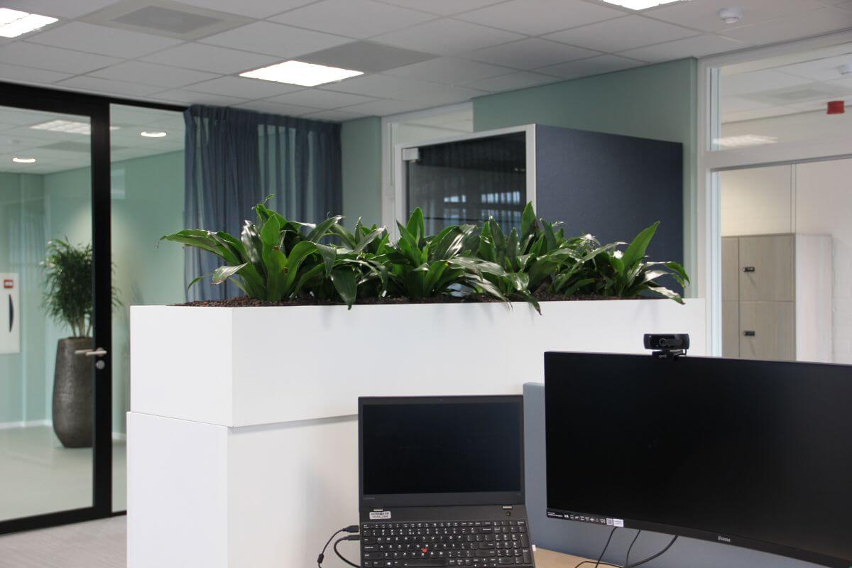 circulaire_Interieurbeplanting_ahrend_kantoor circulaire_Interieurbeplanting_ahrend_kantoor