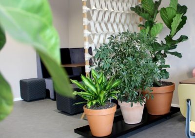 circulaire_Interieurbeplanting_ahrend_planten