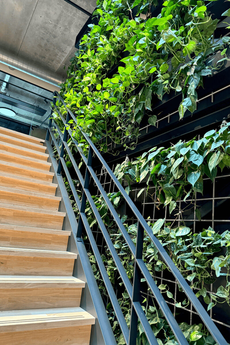 groene-plantenwand-planten groene-plantenwand-planten