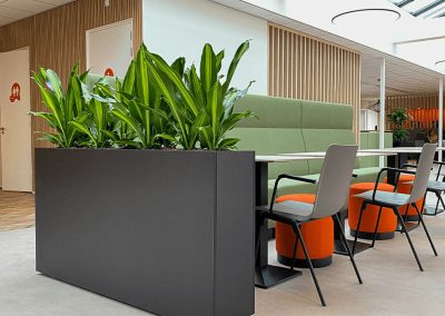 groene-werkomgeving-plantenbak