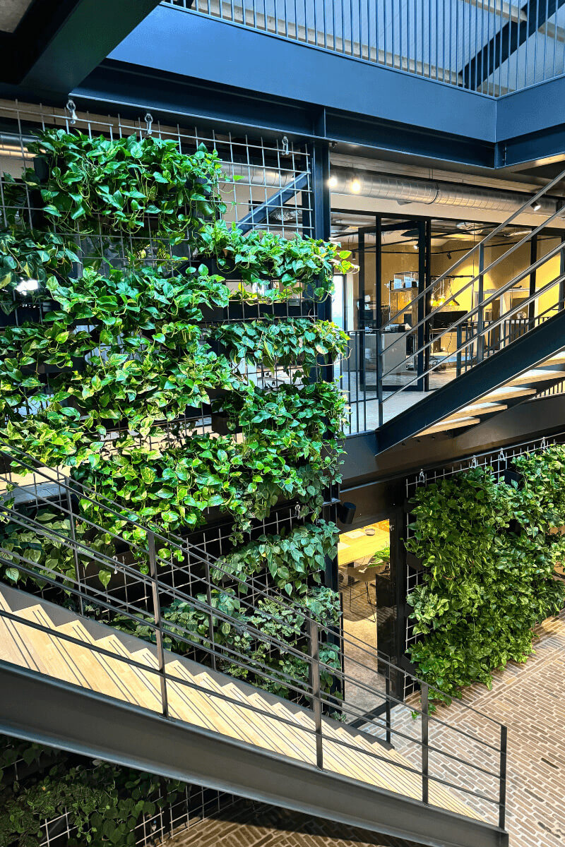 grote-plantenwand-groen-bedrijf grote-plantenwand-groen-bedrijf