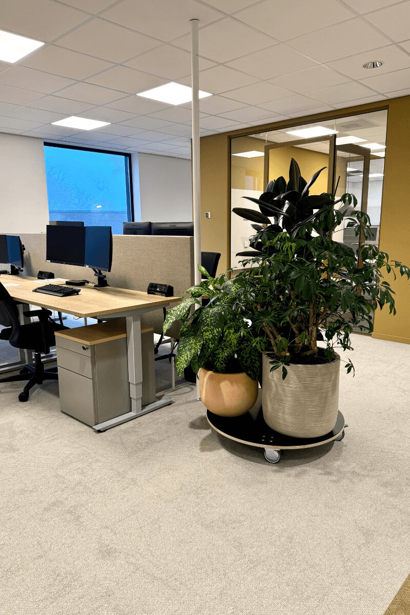 interieurbeplanting-planten-uniek interieurbeplanting-planten-uniek
