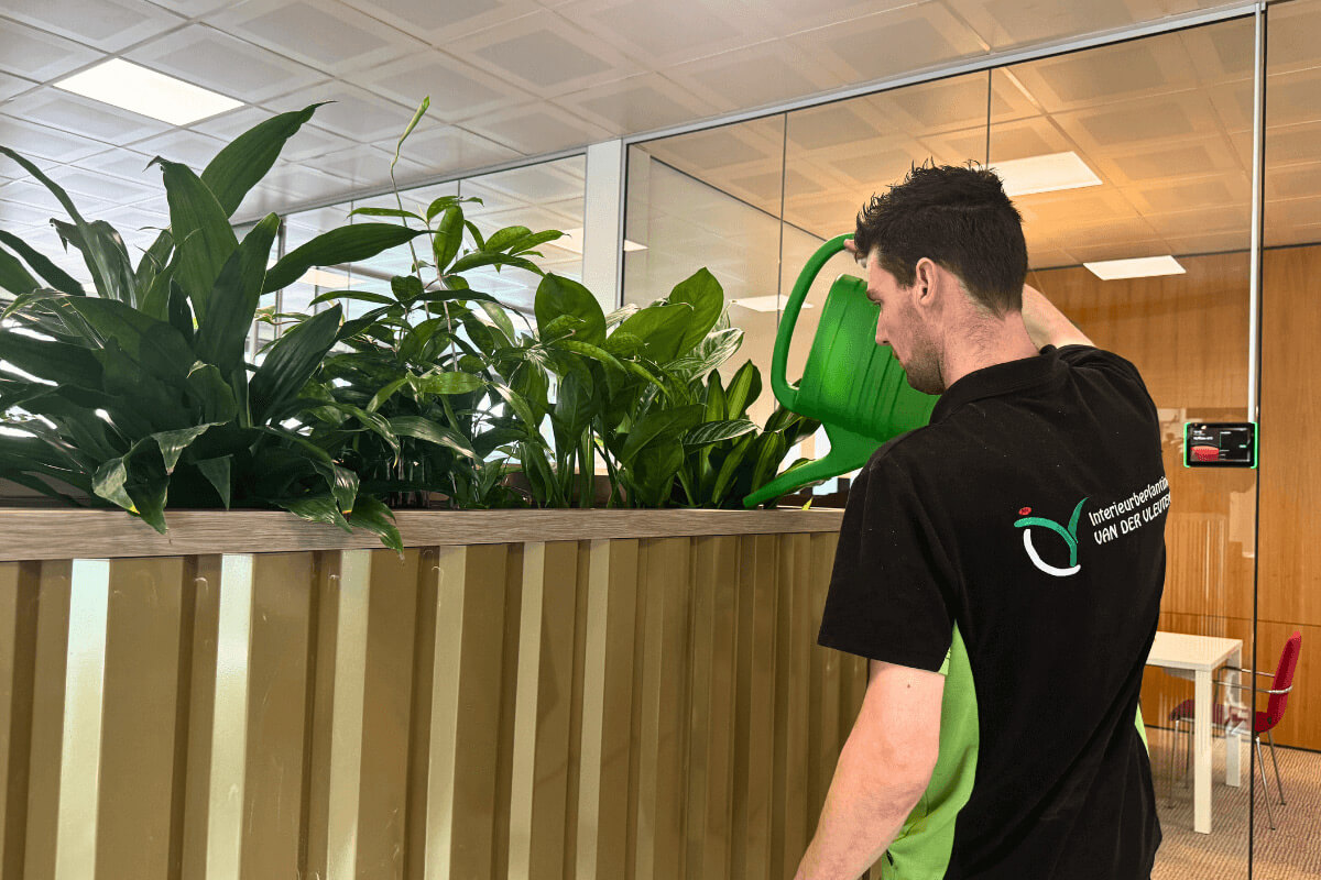 onderhoud-verzorging-planten onderhoud-verzorging-planten