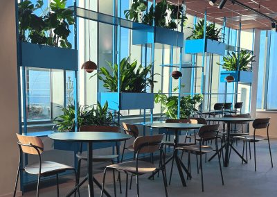 uniek plantenrek in lichte ruimte