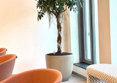 High Tech Campus_planten_vergaderruimte