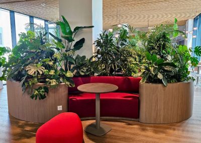 Interieurbeplanting_organsich_trend