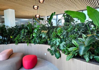 Interieurbeplanting_planten_zitplek