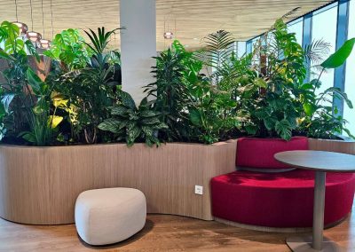 Organische_zitplek_planten