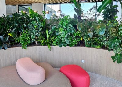 Werkplek_planten