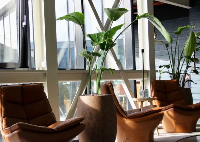 Zitplek met prachtige planten