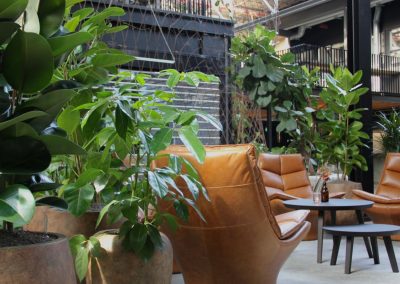 Interieurbeplanting - planten