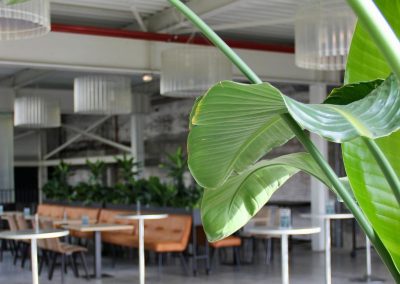 Theater Blauwe Kei - Groen