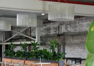 Planten als afscheiding