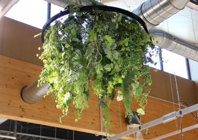 Kunstbeplanting_WeenerXL_hangend