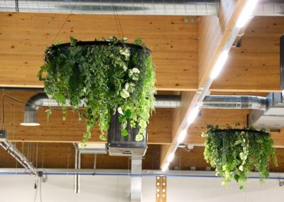 Kunstbeplanting_WeenerXL_hangend2