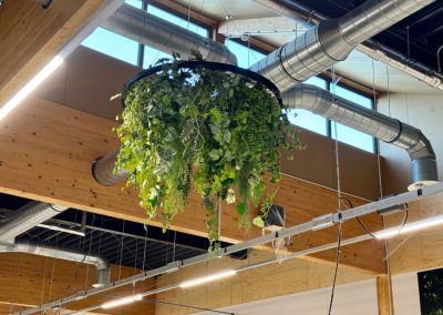 Kunstbeplanting_WeenerXL_hangend3