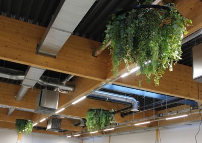 Kunstbeplanting_WeenerXL_hangend4