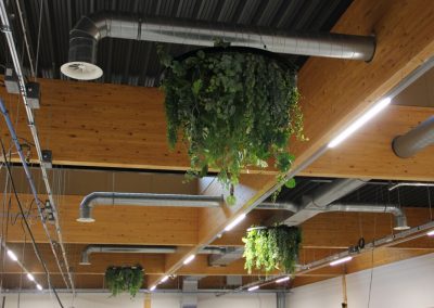 Kunstbeplanting_WeenerXL_hangend5